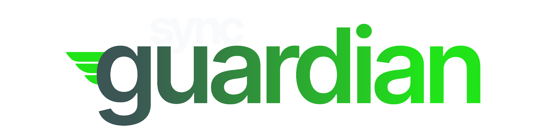 Sync Guardian
